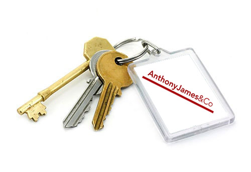 Image of keys on a keychain